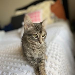 Meet your Posher, Amy